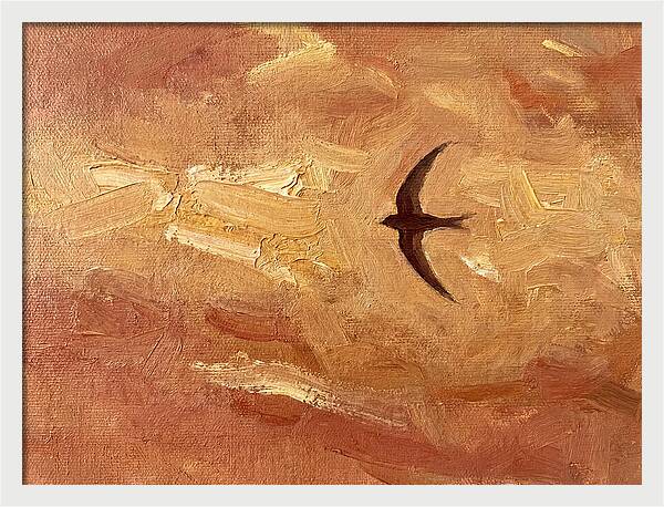 Swift Mediterranean Skies