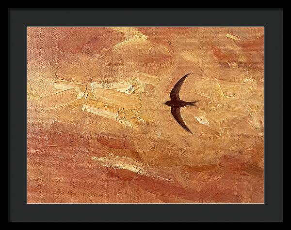 Swift Mediterranean Skies
