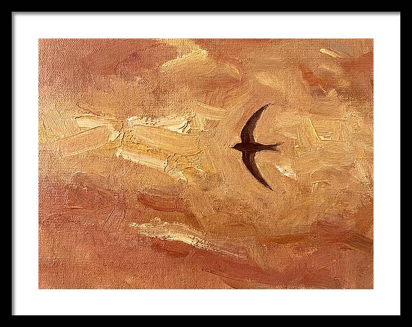 Swift Mediterranean Skies