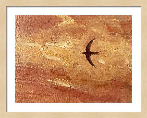 Swift Mediterranean Skies