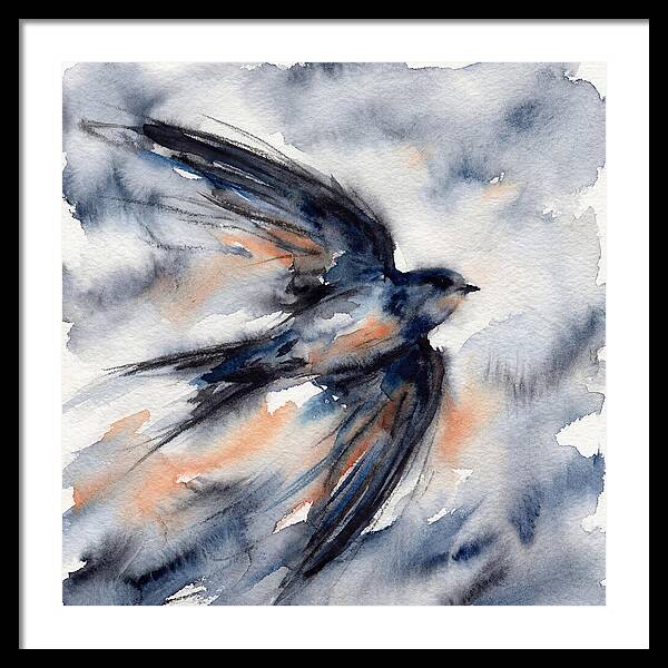 Swift Watercolor Flight