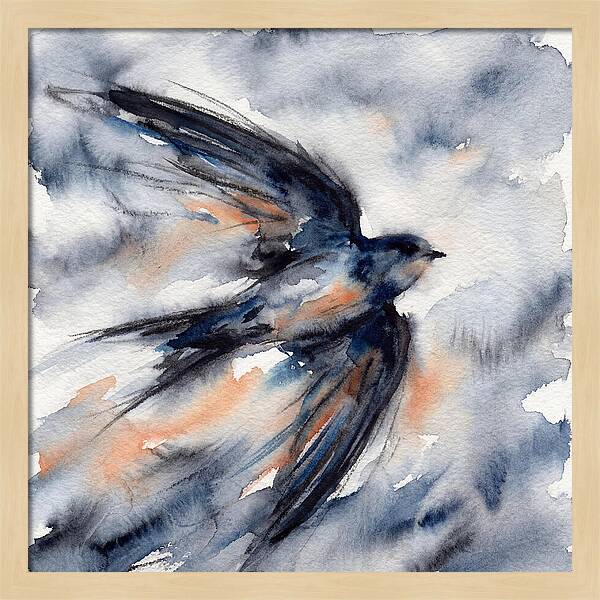 Swift Watercolor Flight