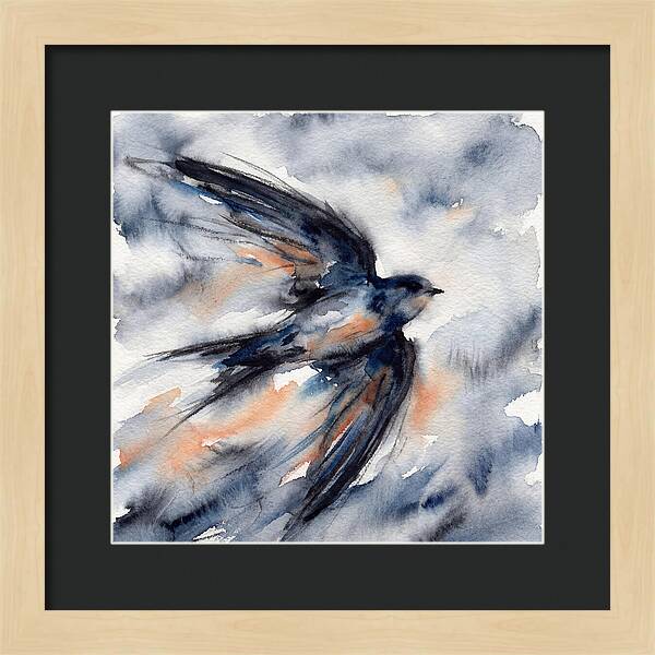 Swift Watercolor Flight