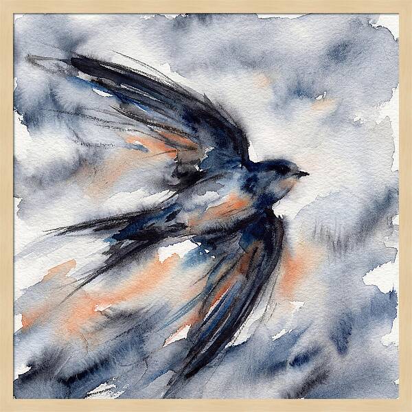 Swift Watercolor Flight