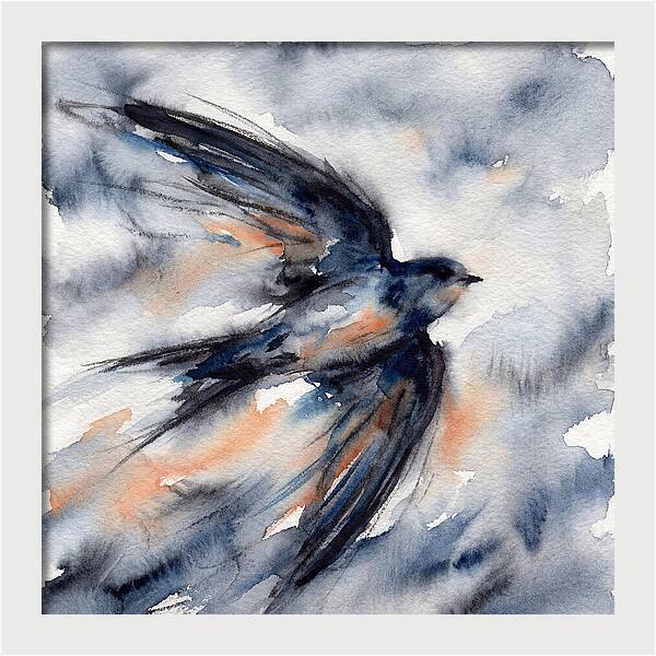 Swift Watercolor Flight