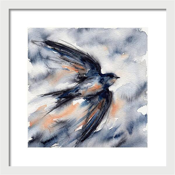 Swift Watercolor Flight