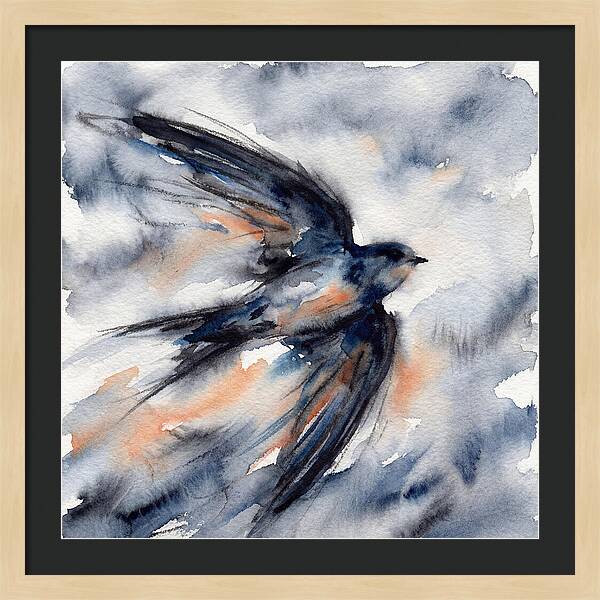 Swift Watercolor Flight
