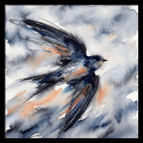 Swift Watercolor Flight
