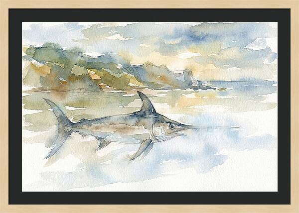 Swordfish Swimming In Tranquil Waters
