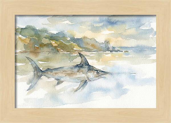 Swordfish Swimming In Tranquil Waters