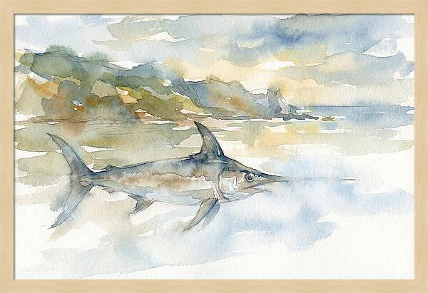 Swordfish Swimming In Tranquil Waters