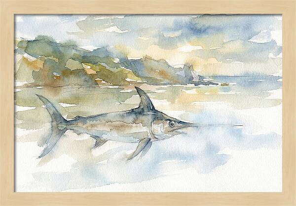 Swordfish Swimming In Tranquil Waters