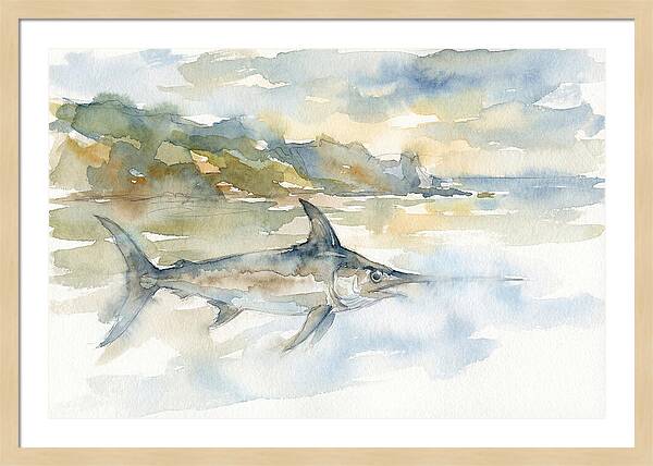 Swordfish Swimming In Tranquil Waters