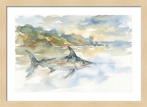 Swordfish Swimming In Tranquil Waters