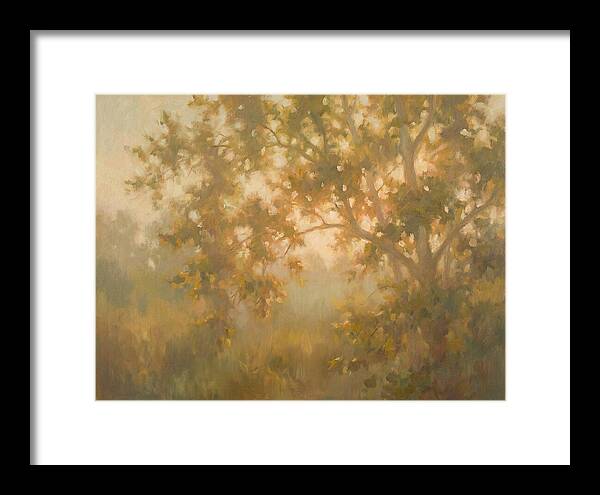 Sycamore Tree