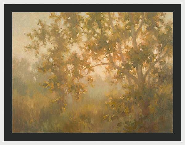 Sycamore Tree