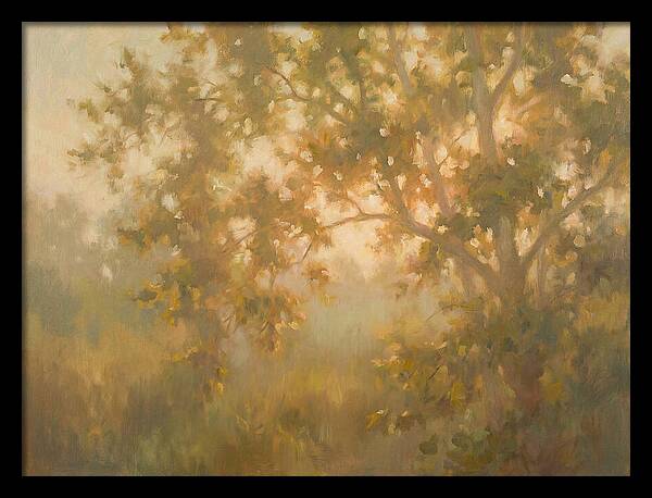 Sycamore Tree