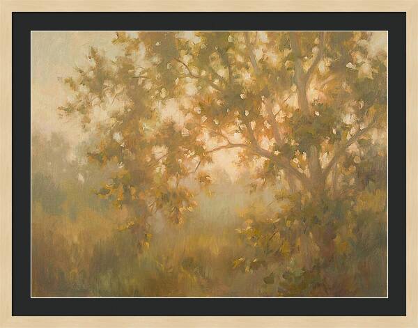 Sycamore Tree