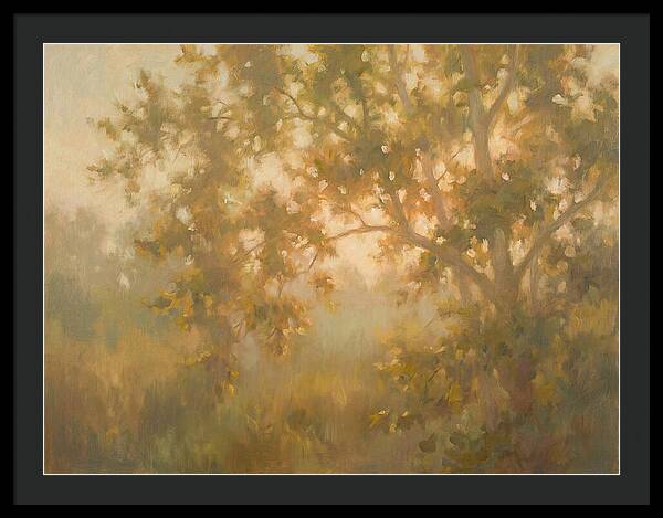 Sycamore Tree