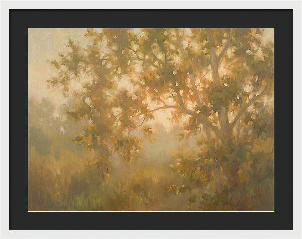 Sycamore Tree