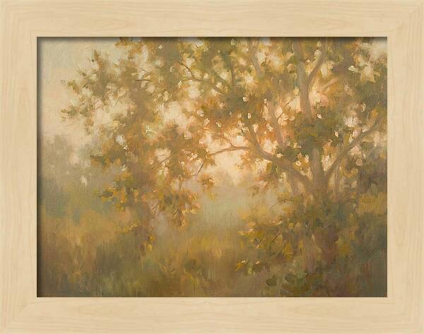 Sycamore Tree