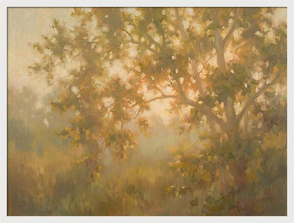 Sycamore Tree