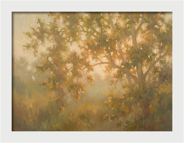 Sycamore Tree
