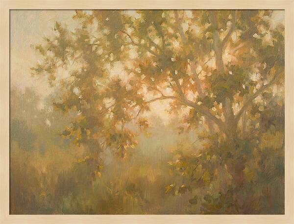 Sycamore Tree