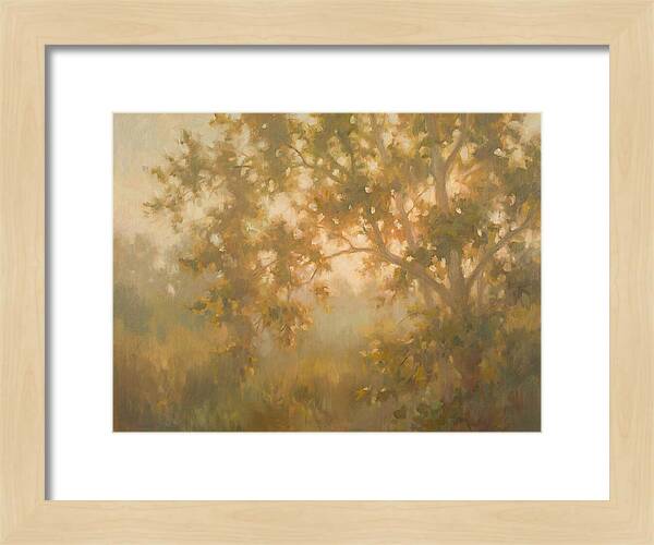 Sycamore Tree