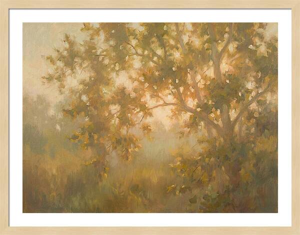 Sycamore Tree