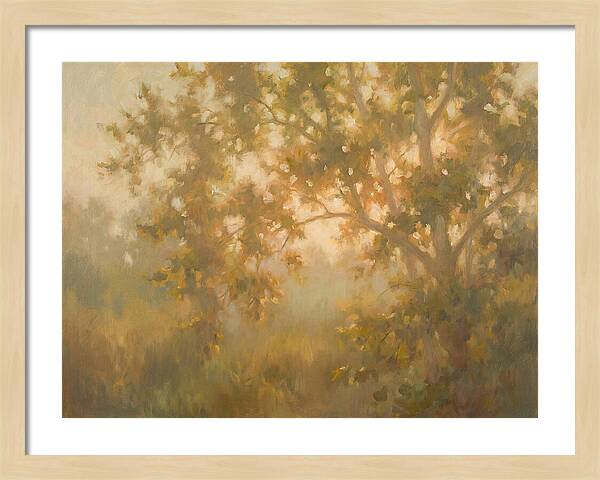 Sycamore Tree