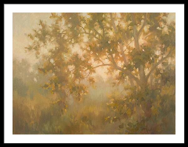 Sycamore Tree