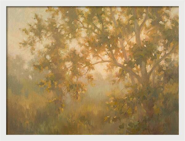 Sycamore Tree