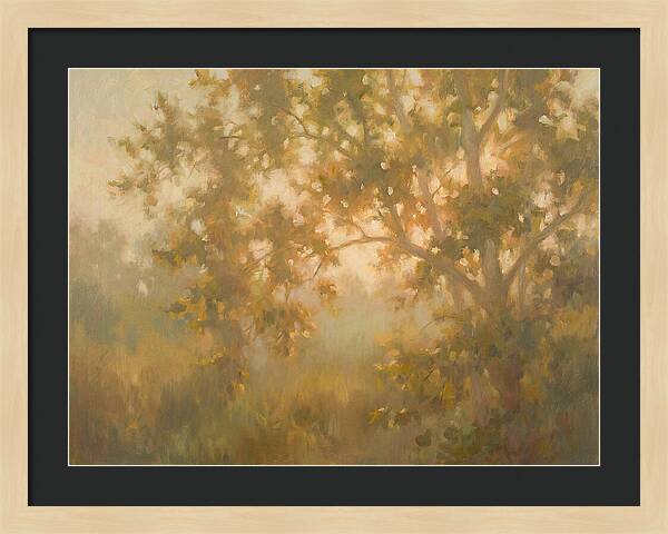 Sycamore Tree