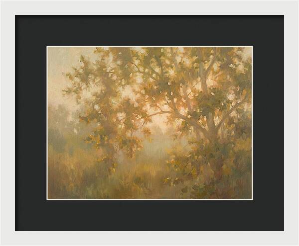 Sycamore Tree