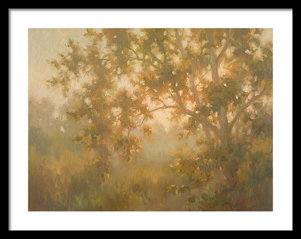 Sycamore Tree