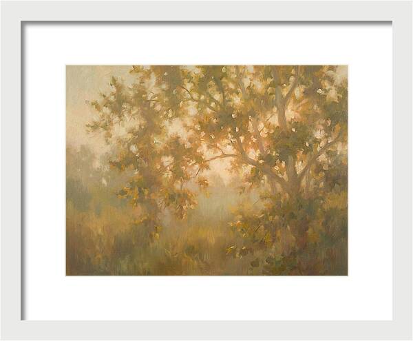 Sycamore Tree