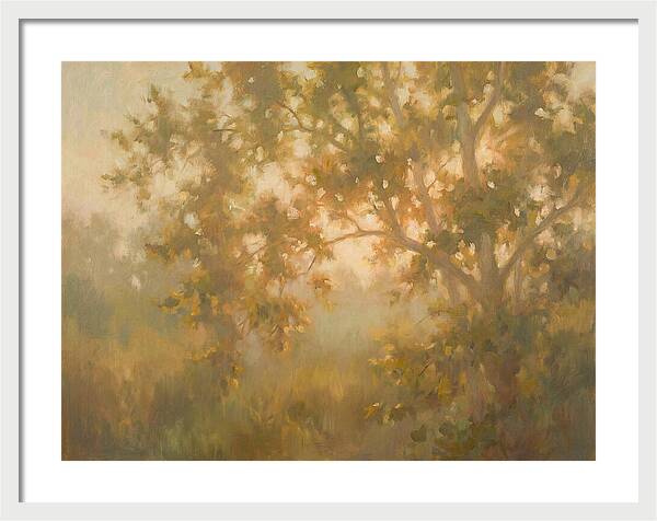 Sycamore Tree
