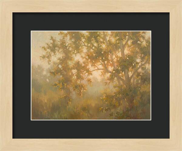 Sycamore Tree