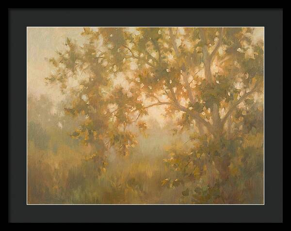 Sycamore Tree