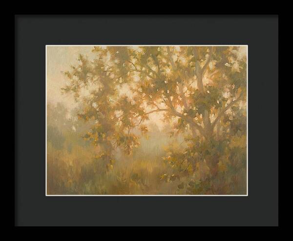 Sycamore Tree