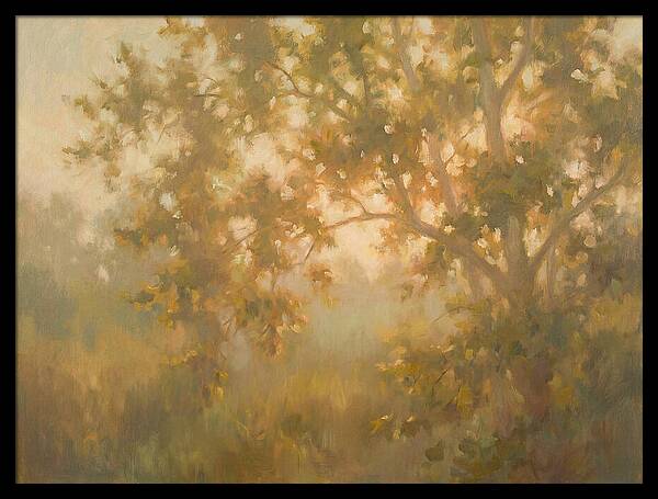 Sycamore Tree