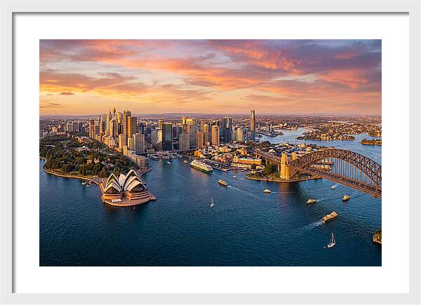 Sydney Harbour At Golden Hour
