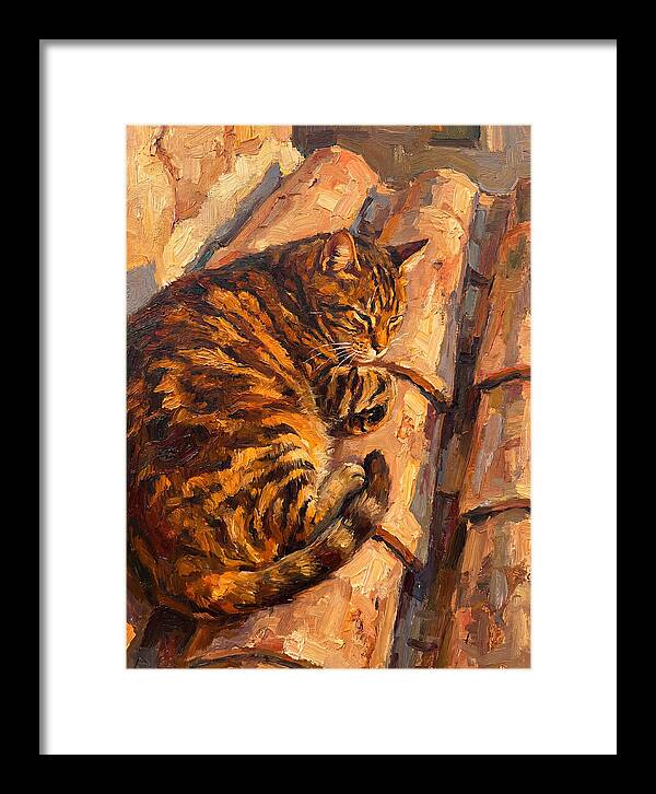 Tabby Cat Relaxing In Sunlight