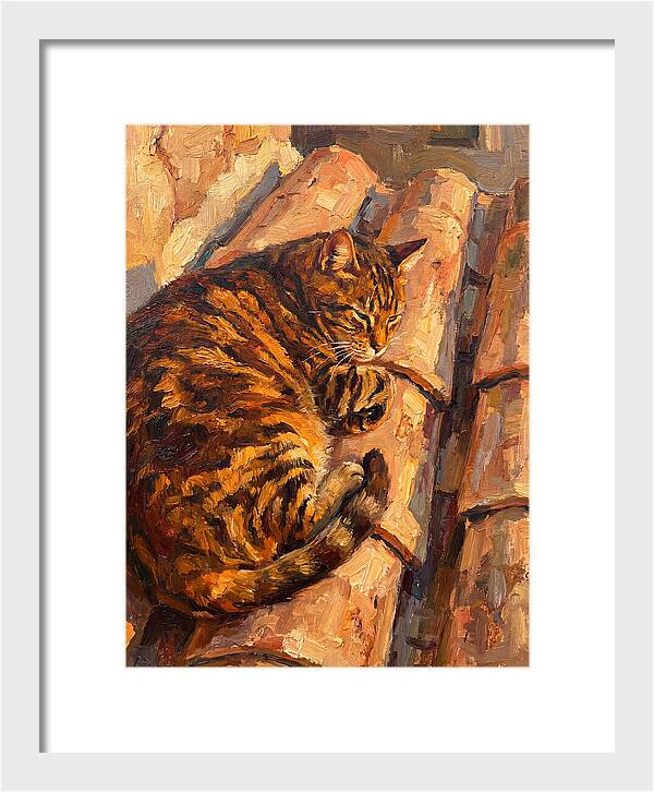 Tabby Cat Relaxing In Sunlight