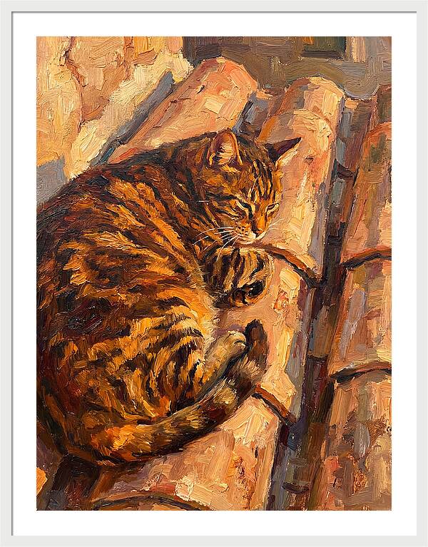 Tabby Cat Relaxing In Sunlight