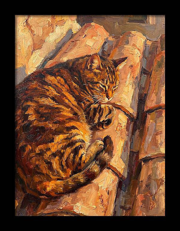 Tabby Cat Relaxing In Sunlight