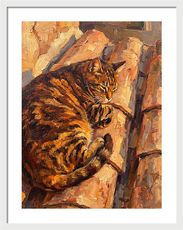 Tabby Cat Relaxing In Sunlight