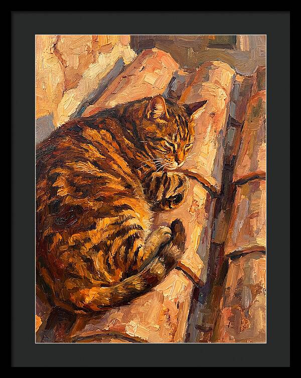 Tabby Cat Relaxing In Sunlight