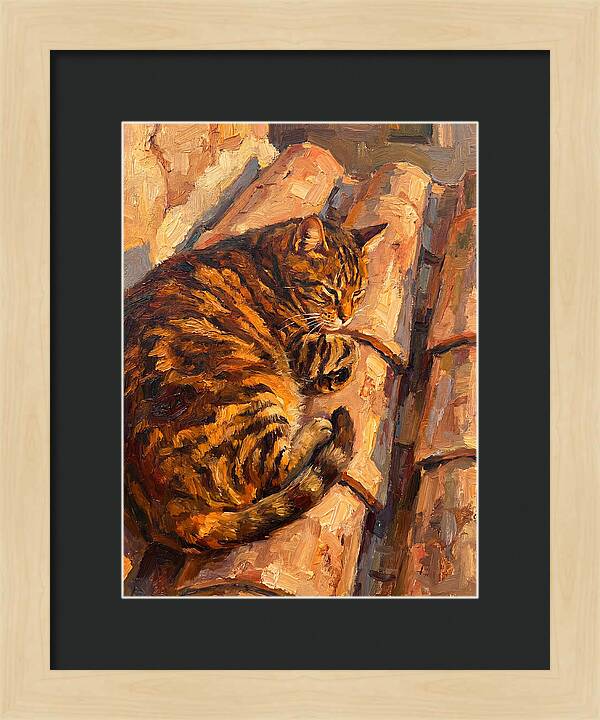 Tabby Cat Relaxing In Sunlight